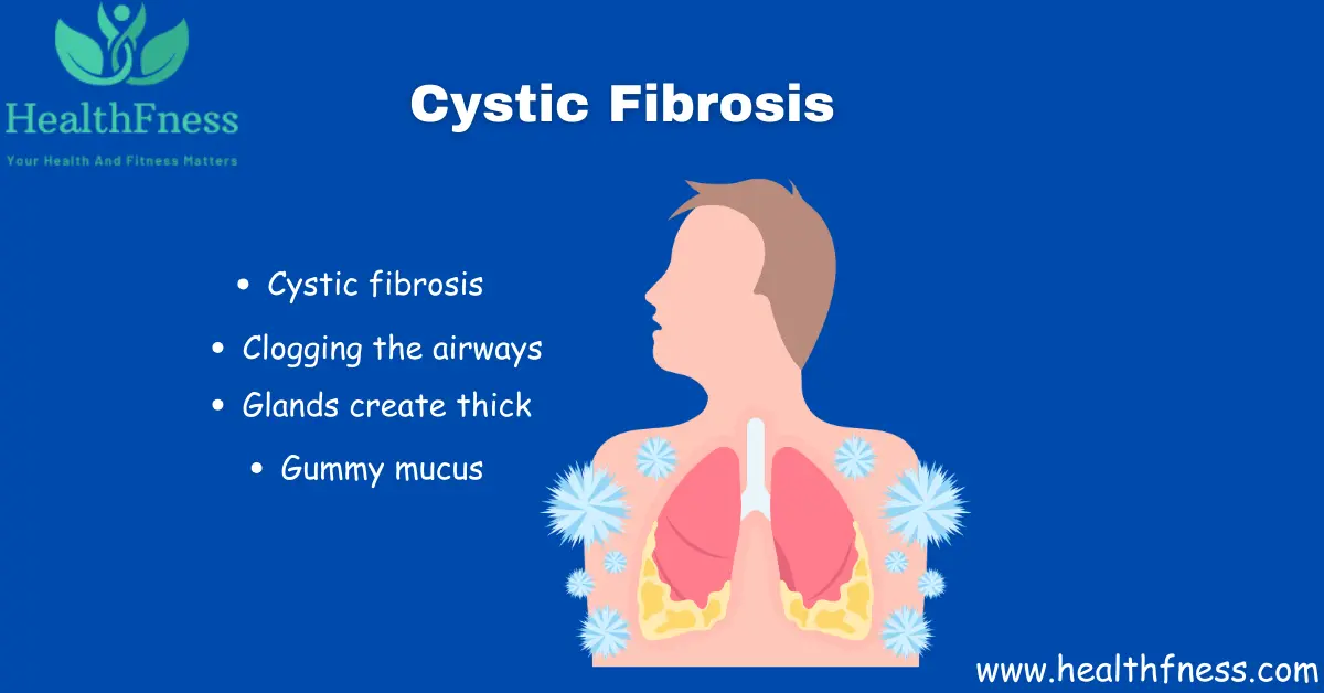 Exocrine System: A Detailed Healthy Overview 2023