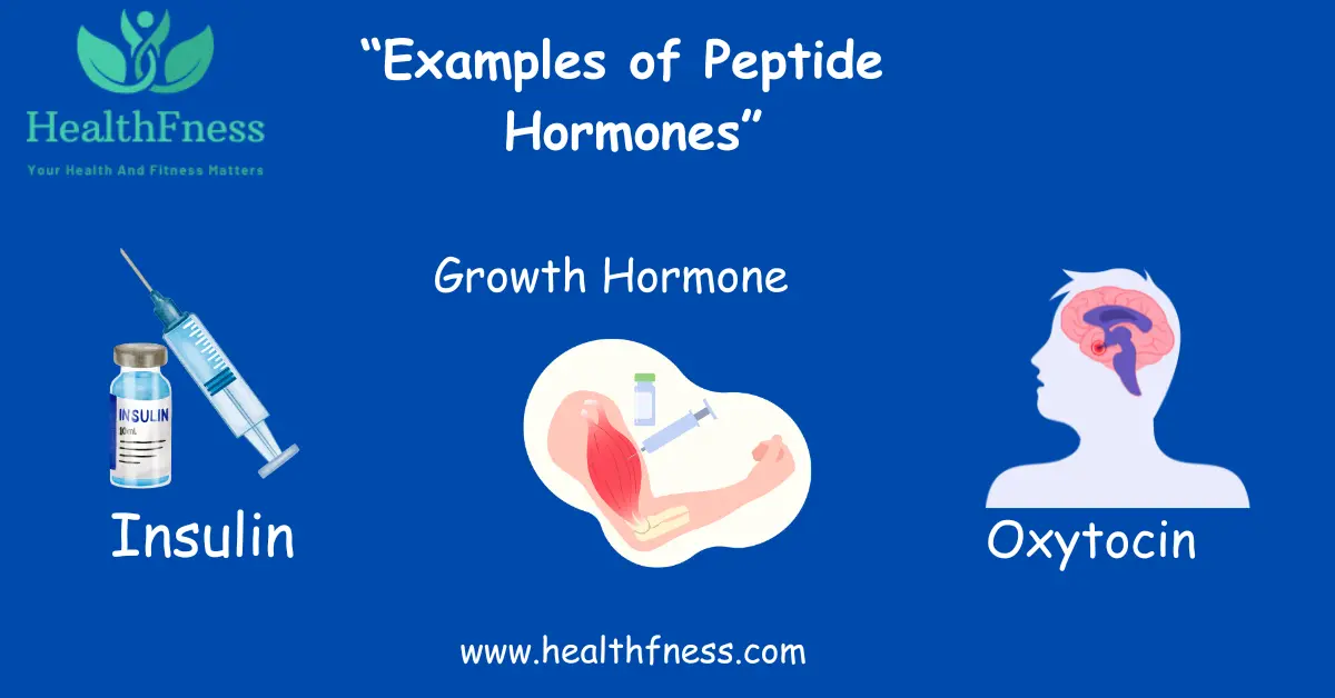 Peptide Hormones: Understanding the Great Signaling Molecules with 3 Examples Peptide Hormones: Understanding the Great Signaling Molecules with 3 Examples