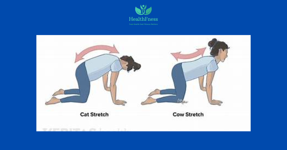 Dextroscoliosis Of The Thoracic Spine: Causes, Treatment And Awesome Exercises Dextroscoliosis Of The Thoracic Spine: Causes, Treatment And Awesome Exercises