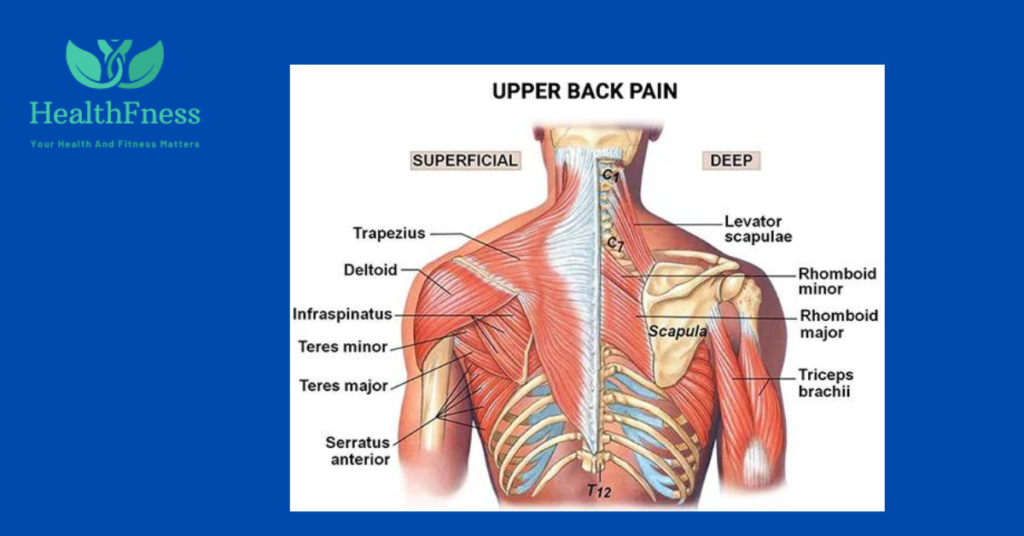 how-to-relieve-upper-back-pain-from-coughing-7-pro-tips-healthfness