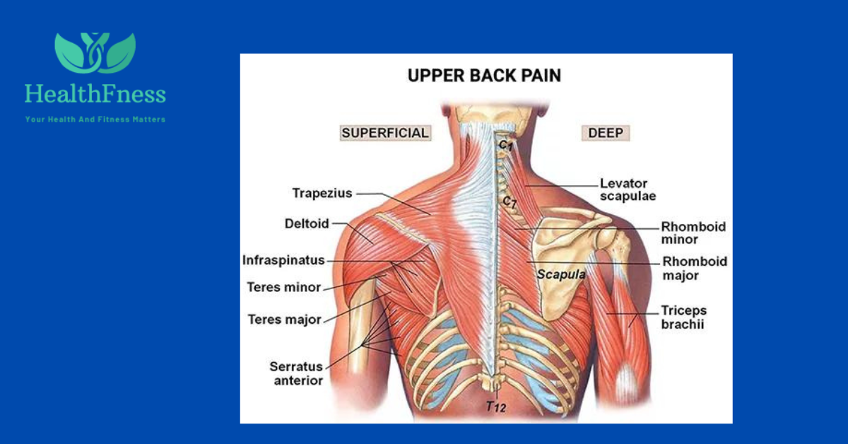 How To Relieve Upper Back Pain From Coughing: 7 Pro Tips How To Relieve Upper Back Pain From Coughing:A coughing person with higher returned pain, demonstrating the soreness added on via recurrent episodes of coughing.