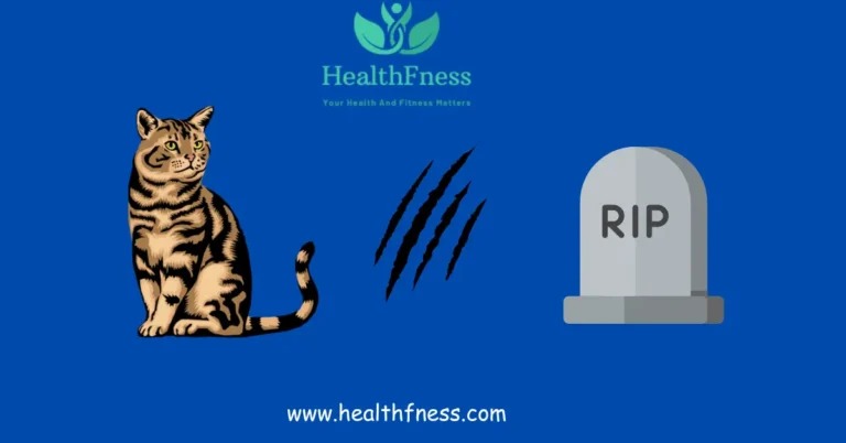 Can You Die From Cat Scratch Fever?