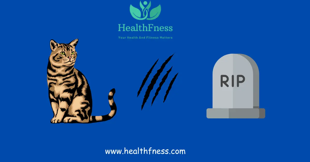 Can You Die From Cat Scratch Fever? Can You Die From Cat Scratch Fever?