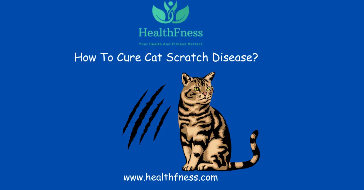 How To Cure Cat Scratch Disease? A Comprehensive Guide How To Cure Cat Scratch Disease?