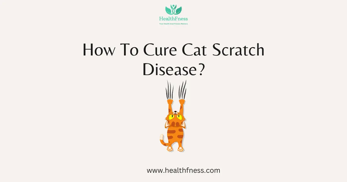 How To Cure Cat Scratch Disease? A Comprehensive Guide HealthFness