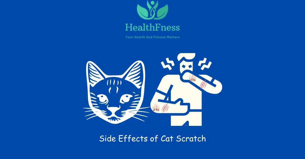 Side Effects of Cat Scratch: Understanding the Risks and Precautions Side Effects of Cat Scratch